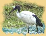 wyprawa do afryki maroko